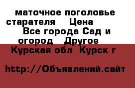 маточное поголовье старателя  › Цена ­ 3 700 - Все города Сад и огород » Другое   . Курская обл.,Курск г.